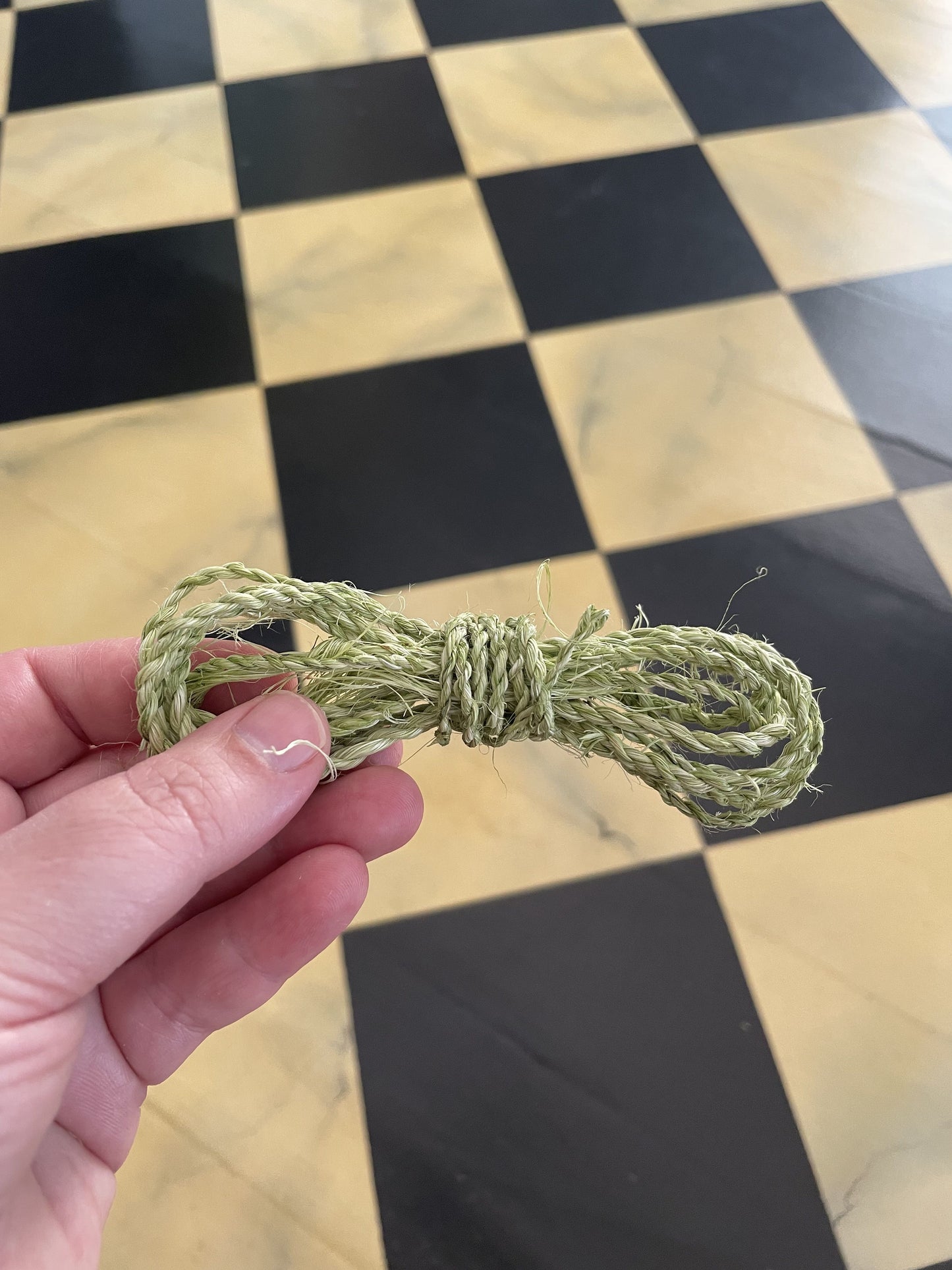 Foraged Cordage with Malia - Saturday April 25th - 11AM-1PM