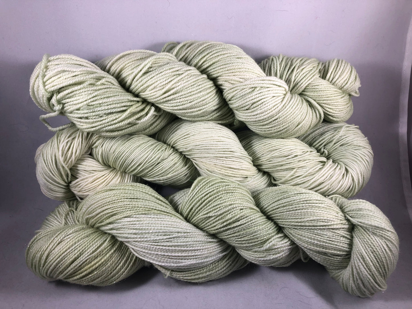 Succulents - Ready to Ship
