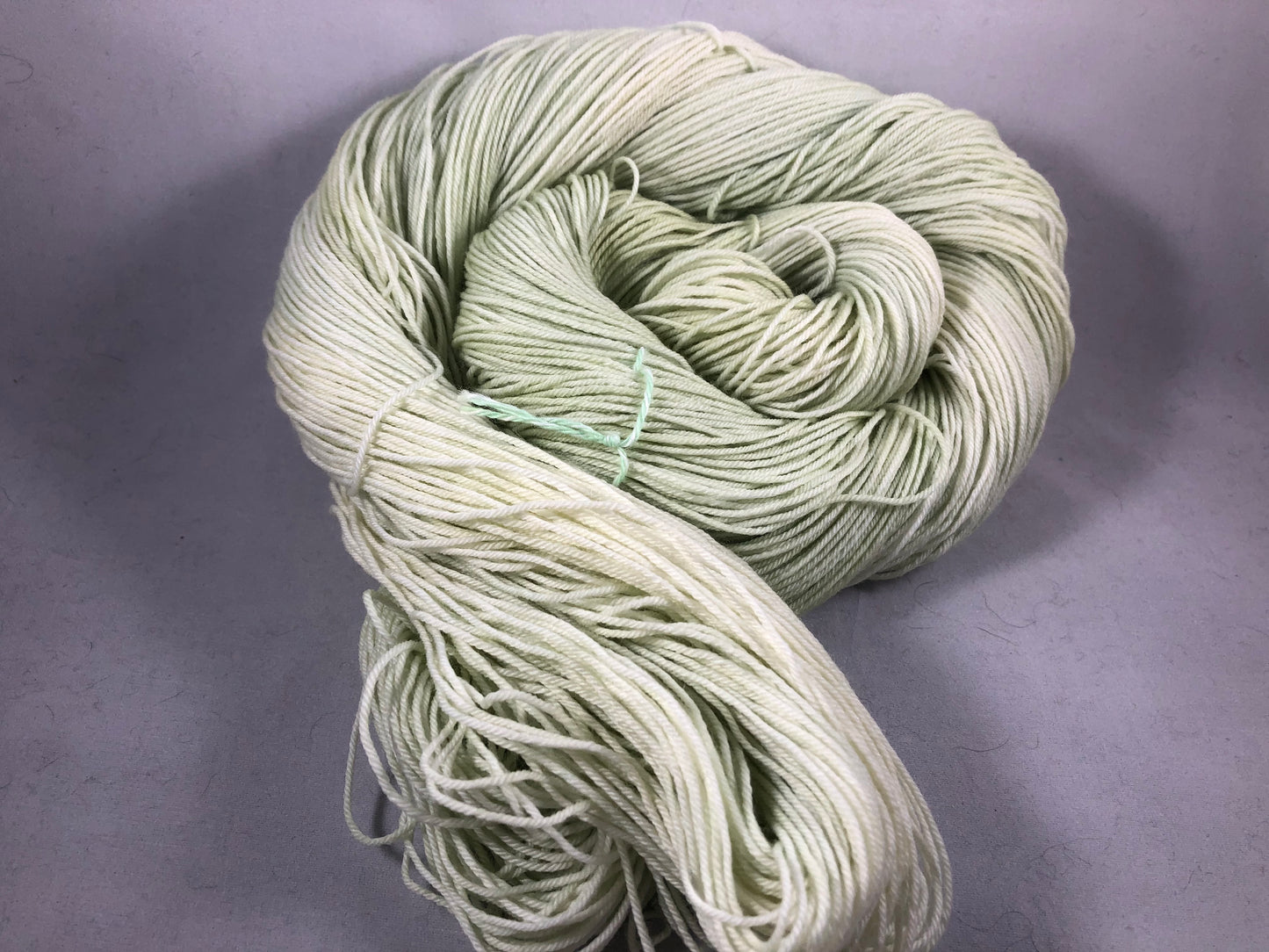 Succulents - Ready to Ship