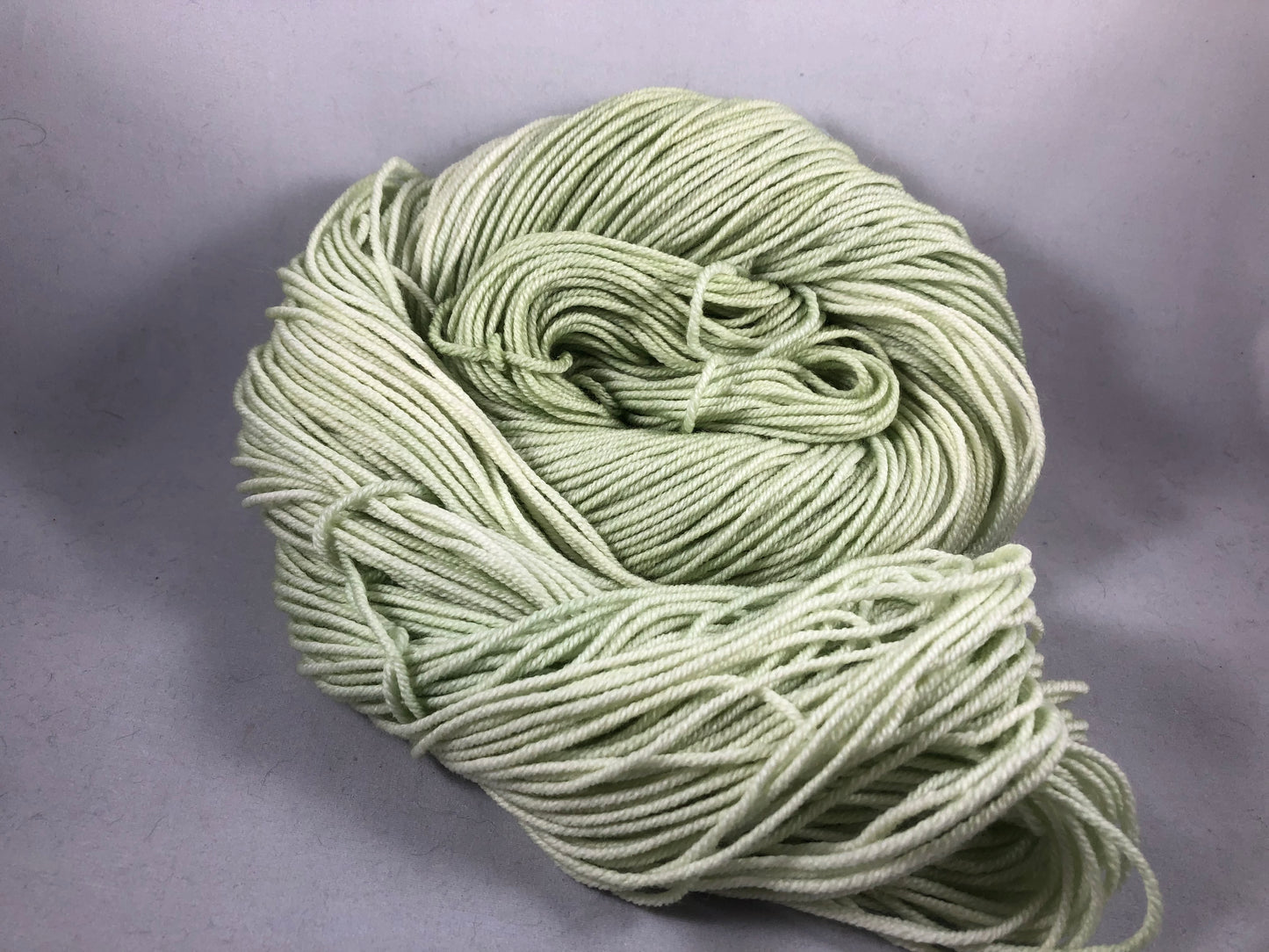 Succulents - Ready to Ship