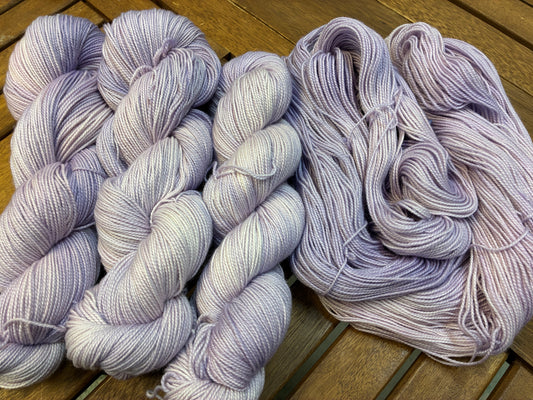 Crocus Blooms Empress