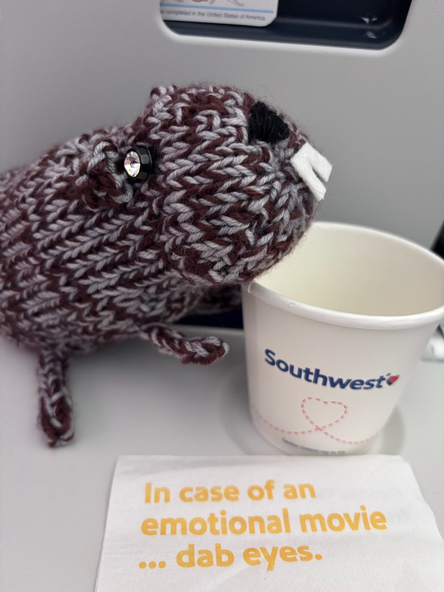 Little Knitted Groundhog with Karen - Feb 8th